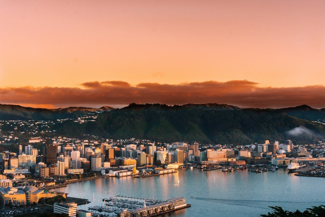 Vista de Wellington ao amanhecer, em imagem de contexto da Nova Zelândia